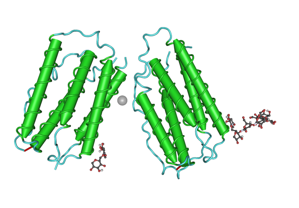 Rebif - interferone beta-1a: Trattamento Innovativo per la Sclerosi Multipla